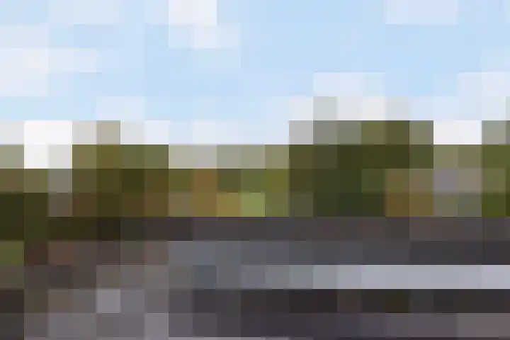 Achter 't Bos 17 Dirkshorn thumbnail 37