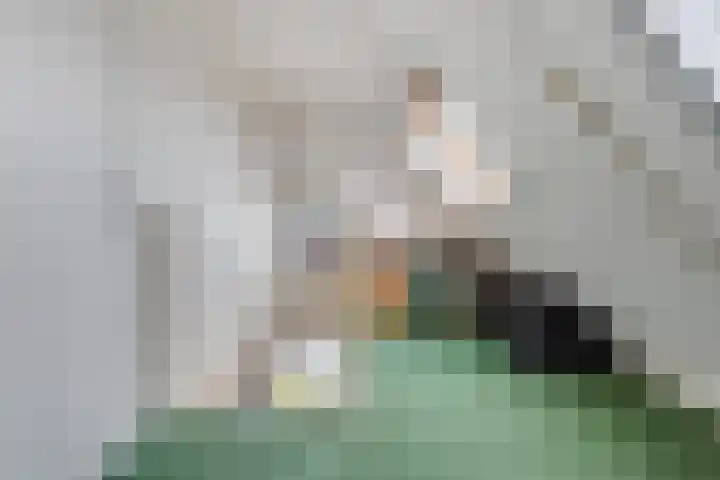 Achter 't Bos 17 Dirkshorn thumbnail 38