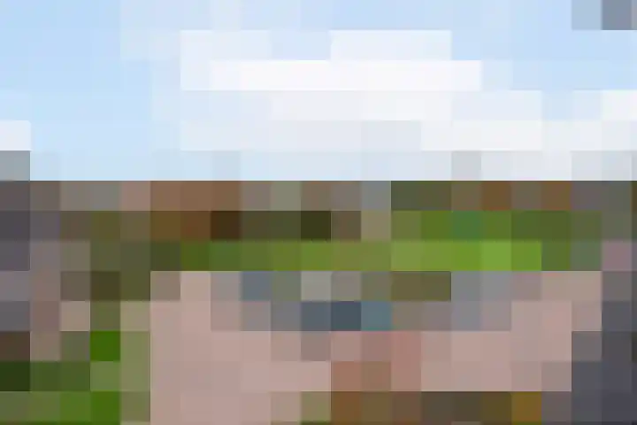 Achter 't Bos 17 Dirkshorn thumbnail 39