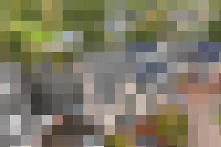 Achter 't Bos 17 Dirkshorn thumbnail 4
