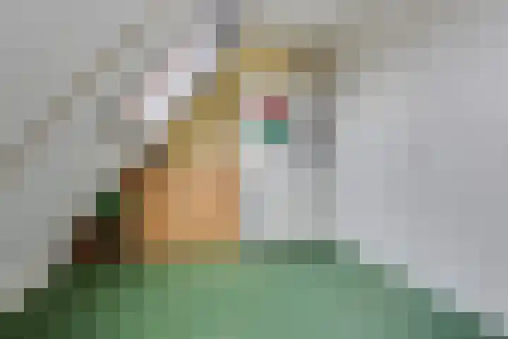 Achter 't Bos 17 Dirkshorn thumbnail 40