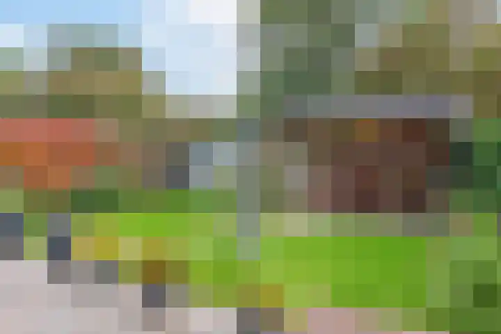 Achter 't Bos 17 Dirkshorn thumbnail 42