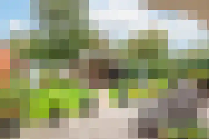 Achter 't Bos 17 Dirkshorn thumbnail 43
