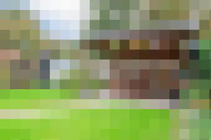 Achter 't Bos 17 Dirkshorn thumbnail 44