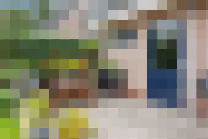 Achter 't Bos 17 Dirkshorn thumbnail 49