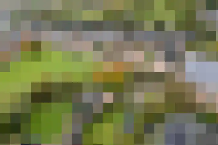 Achter 't Bos 17 Dirkshorn thumbnail 5
