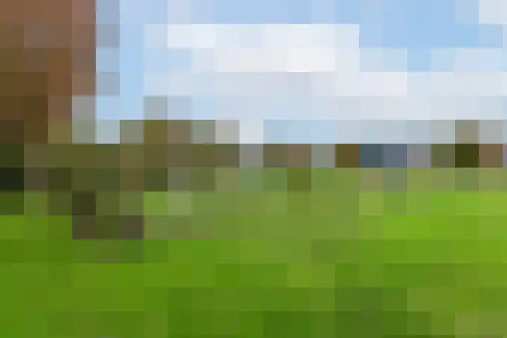 Achter 't Bos 17 Dirkshorn thumbnail 51