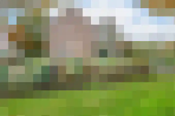 Achter 't Bos 17 Dirkshorn thumbnail 52