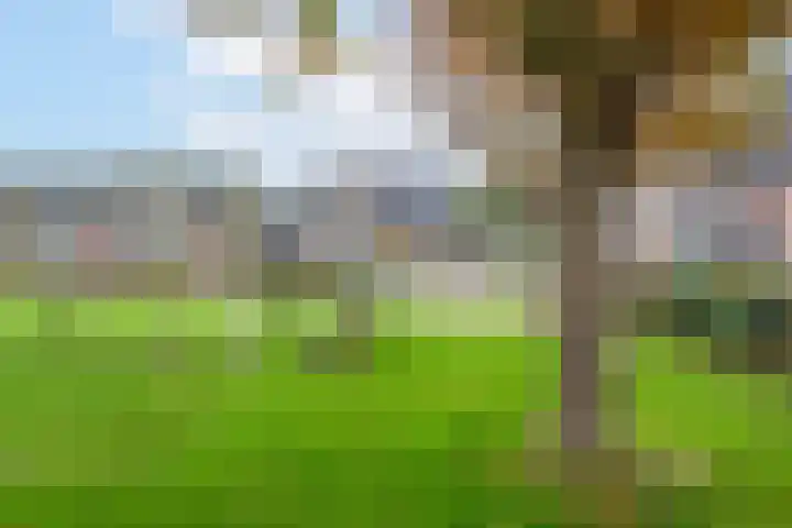 Achter 't Bos 17 Dirkshorn thumbnail 53