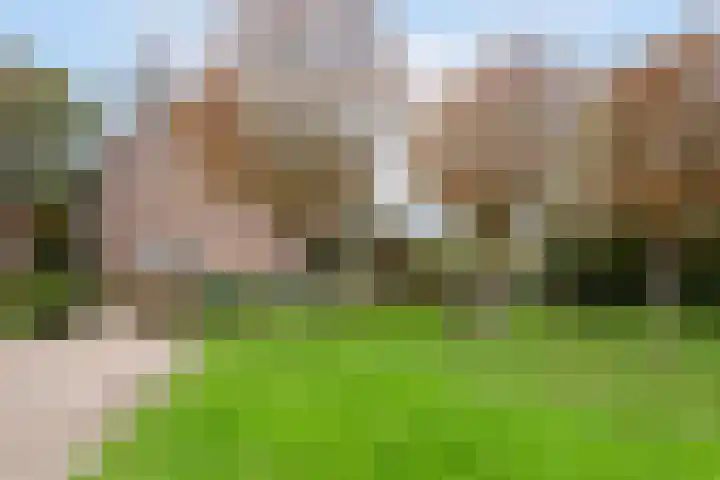 Achter 't Bos 17 Dirkshorn thumbnail 54