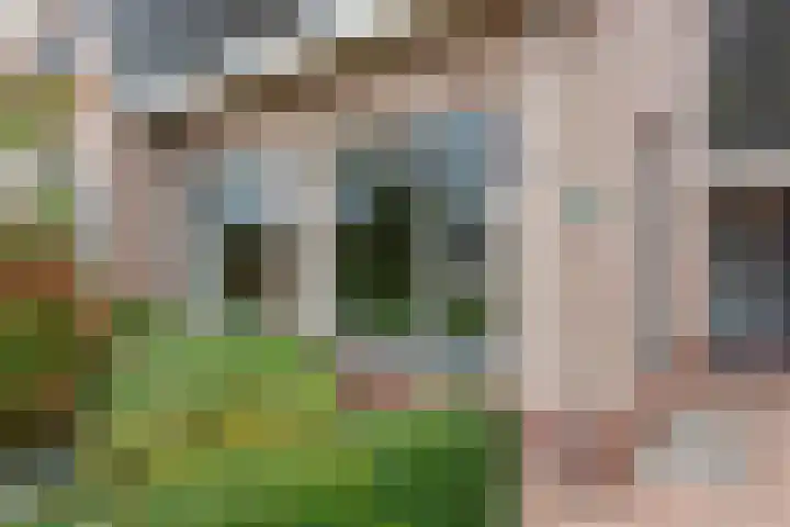 Achter 't Bos 17 Dirkshorn thumbnail 6