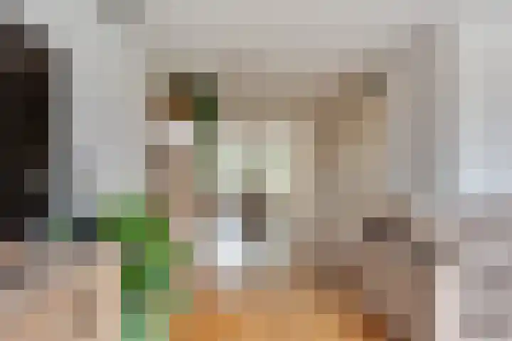 Achter 't Bos 17 Dirkshorn thumbnail 9