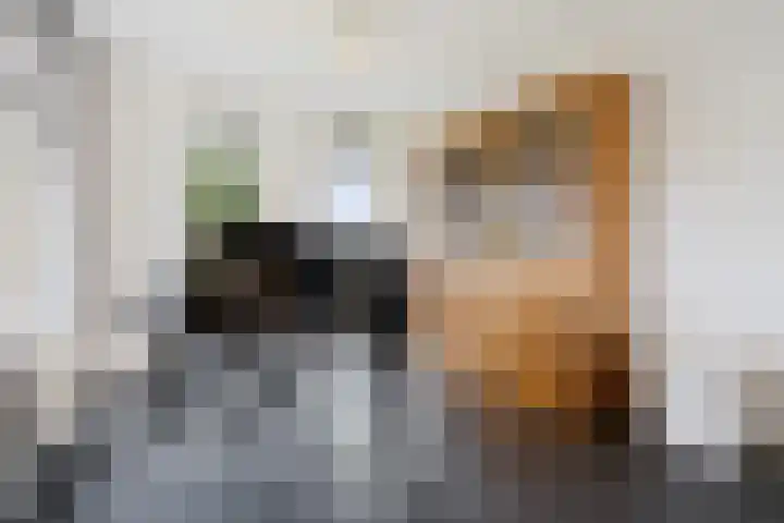 Achter 't Hof 17 Hoeven thumbnail 10