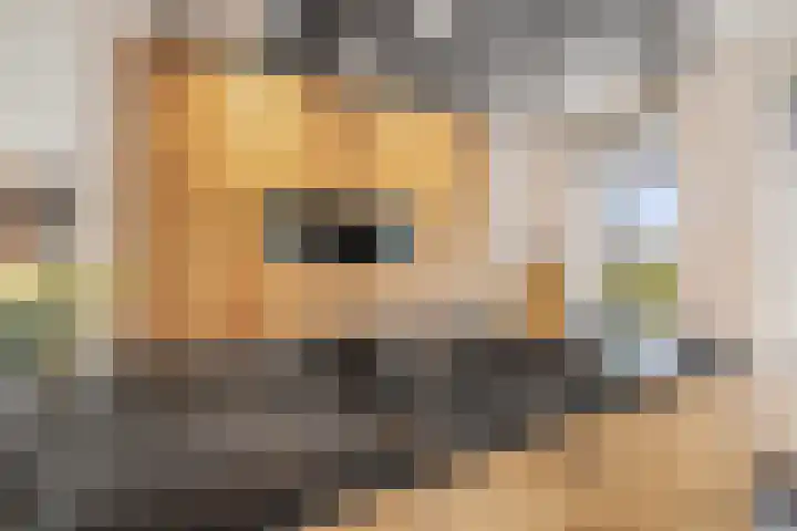 Achter 't Hof 17 Hoeven thumbnail 15