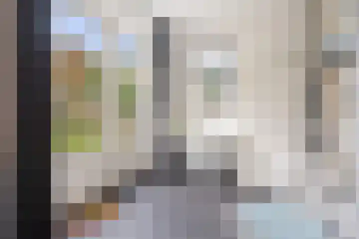 Achter 't Hof 17 Hoeven thumbnail 20