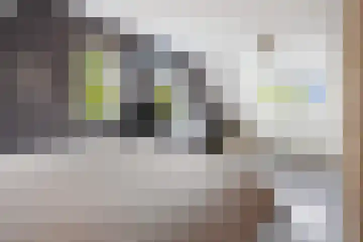 Achter 't Hof 17 Hoeven thumbnail 23
