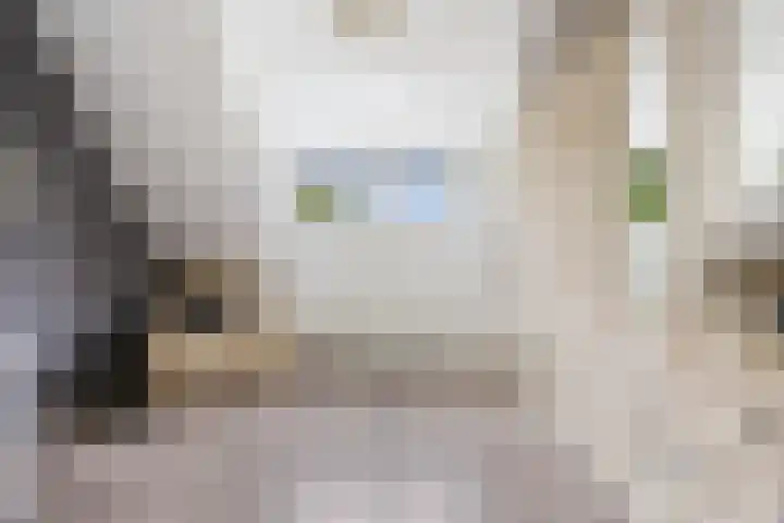 Achter 't Hof 17 Hoeven thumbnail 24