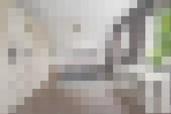 Achter 't Hof 17 Hoeven thumbnail 25