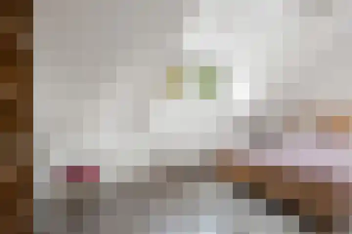 Achter 't Hof 17 Hoeven thumbnail 26