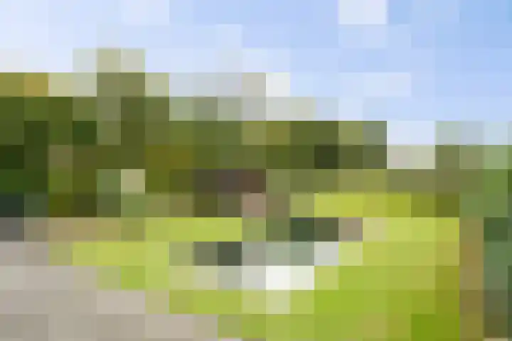 Achter 't Hof 17 Hoeven foto 3