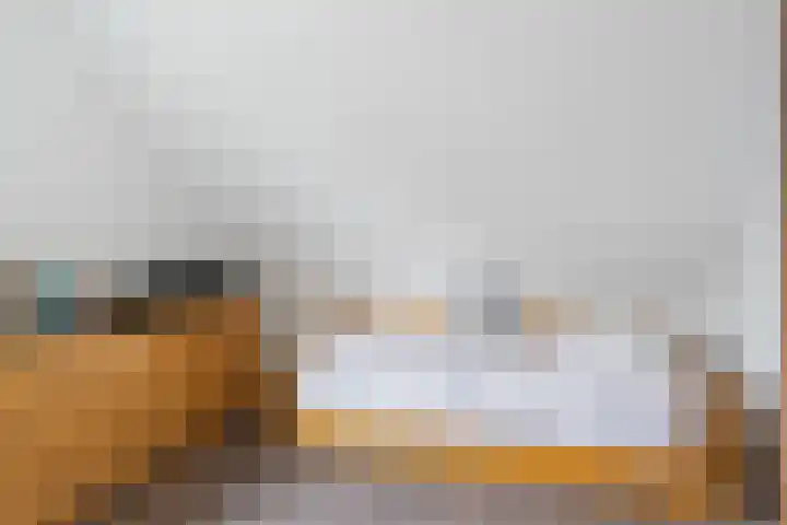 Achter 't Hof 17 Hoeven thumbnail 30