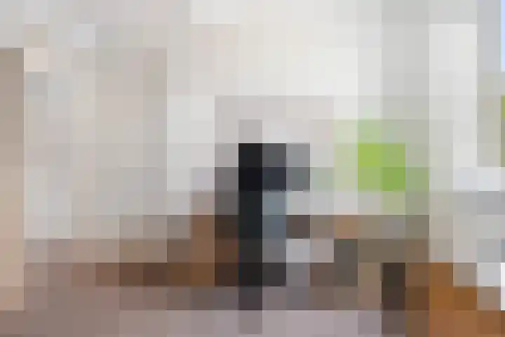 Achter 't Hof 17 Hoeven thumbnail 31