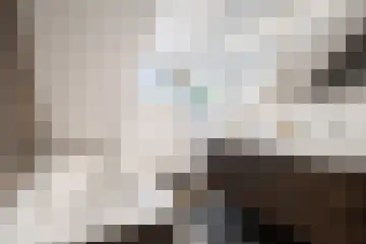 Achter 't Hof 17 Hoeven thumbnail 33