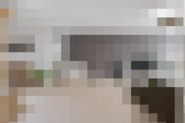 Achter 't Hof 17 Hoeven thumbnail 36