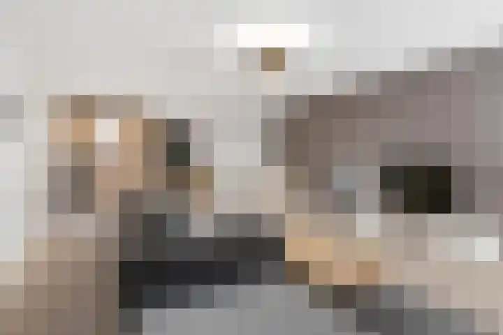 Achter 't Hof 17 Hoeven thumbnail 39
