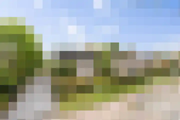 Achter 't Hof 17 Hoeven thumbnail 4