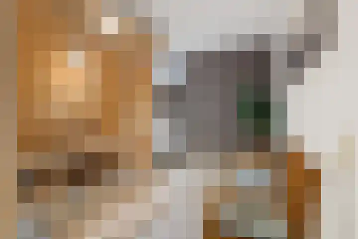 Achter 't Hof 17 Hoeven thumbnail 40