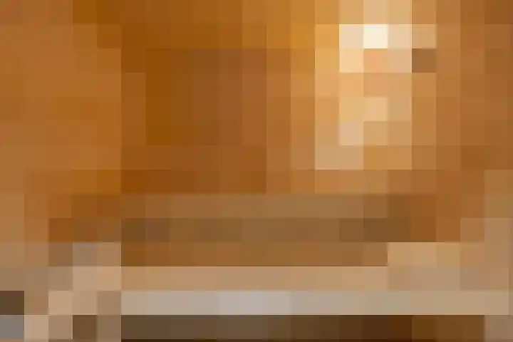 Achter 't Hof 17 Hoeven thumbnail 41