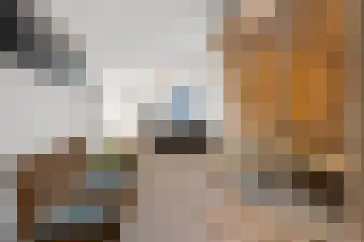 Achter 't Hof 17 Hoeven thumbnail 42