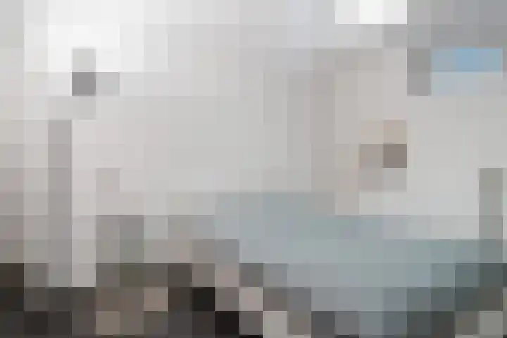 Achter 't Hof 17 Hoeven thumbnail 44