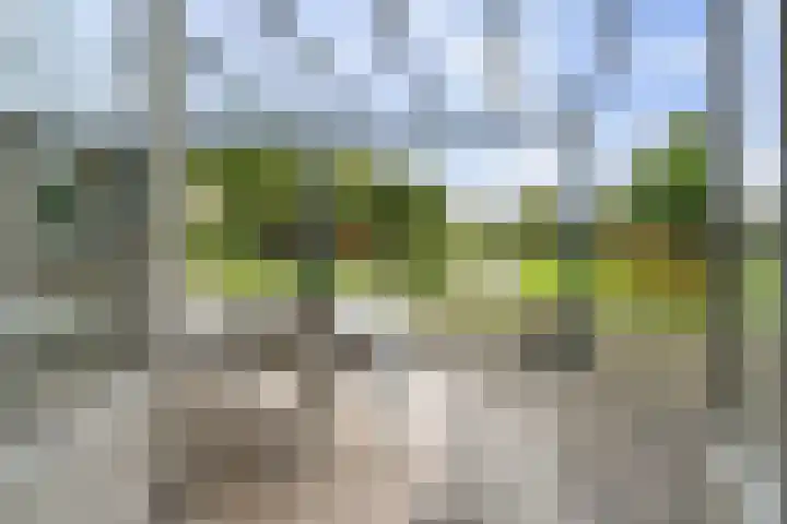 Achter 't Hof 17 Hoeven thumbnail 46