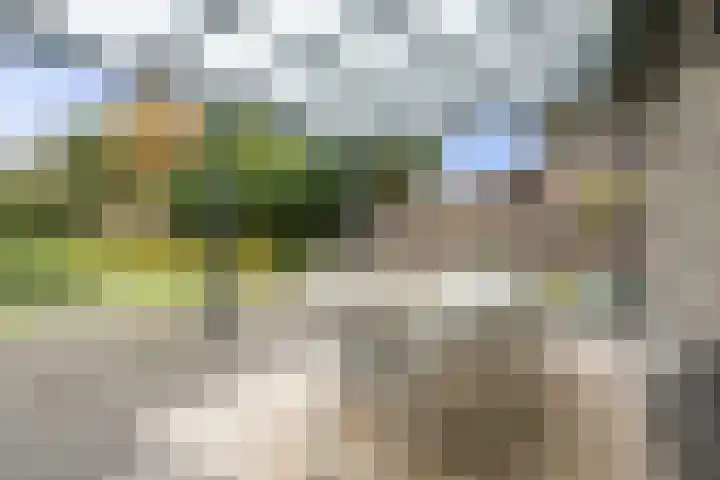 Achter 't Hof 17 Hoeven thumbnail 47