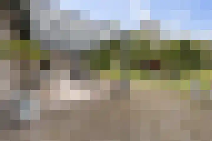 Achter 't Hof 17 Hoeven thumbnail 48