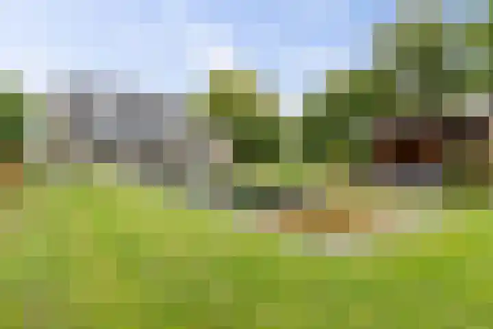 Achter 't Hof 17 Hoeven thumbnail 52
