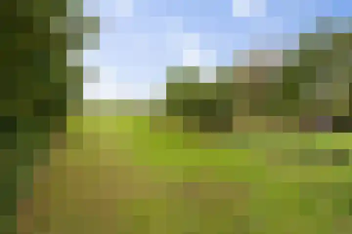 Achter 't Hof 17 Hoeven thumbnail 54