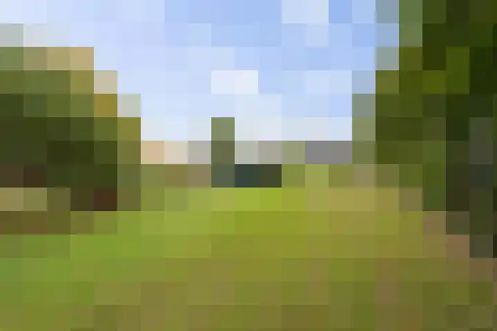 Achter 't Hof 17 Hoeven thumbnail 55