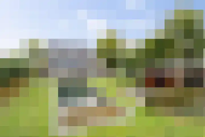 Achter 't Hof 17 Hoeven thumbnail 56