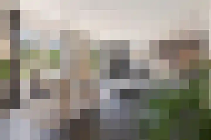 Achter 't Hof 17 Hoeven thumbnail 6