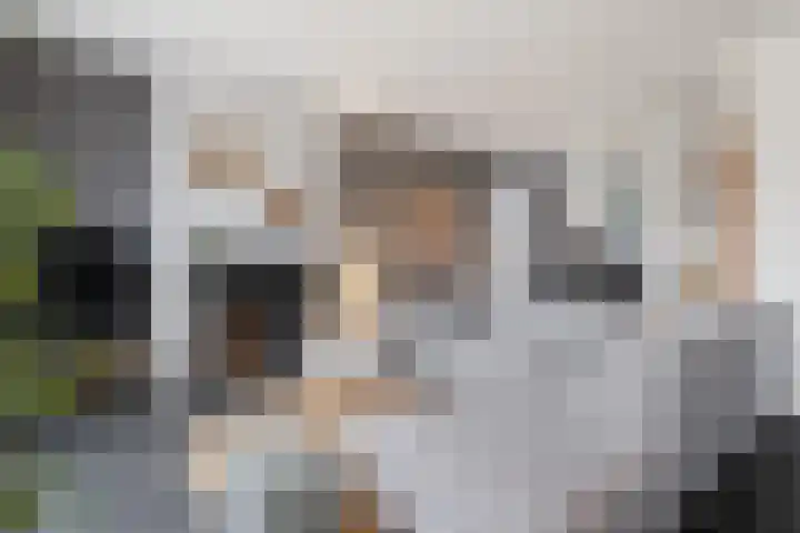 Achter 't Hof 17 Hoeven thumbnail 8