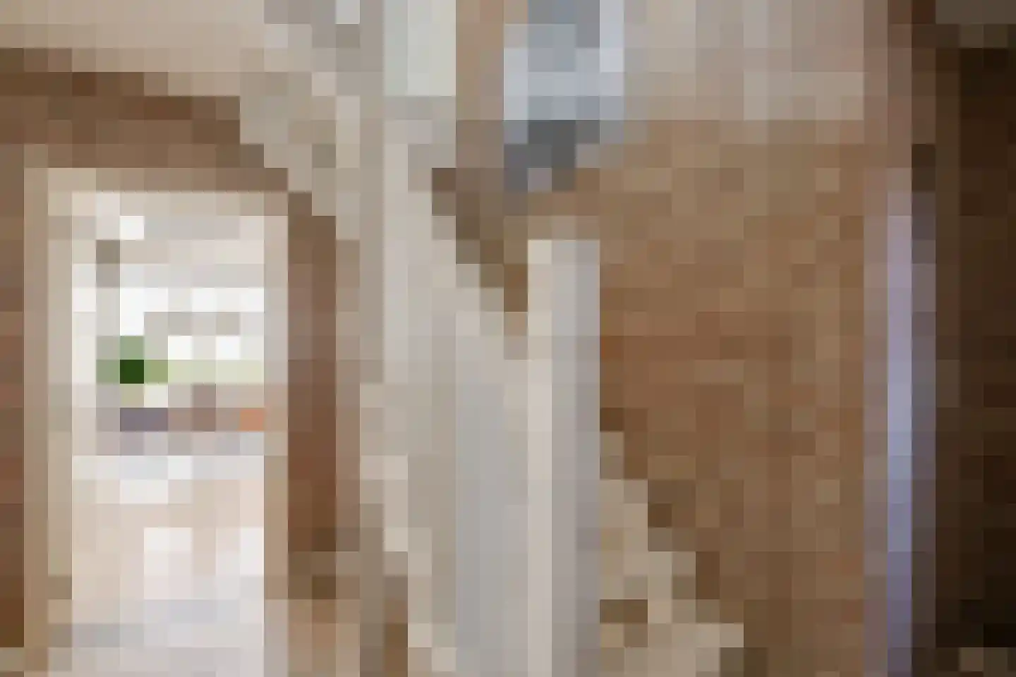 Achter 't Hof 36 Hoeven thumbnail 11