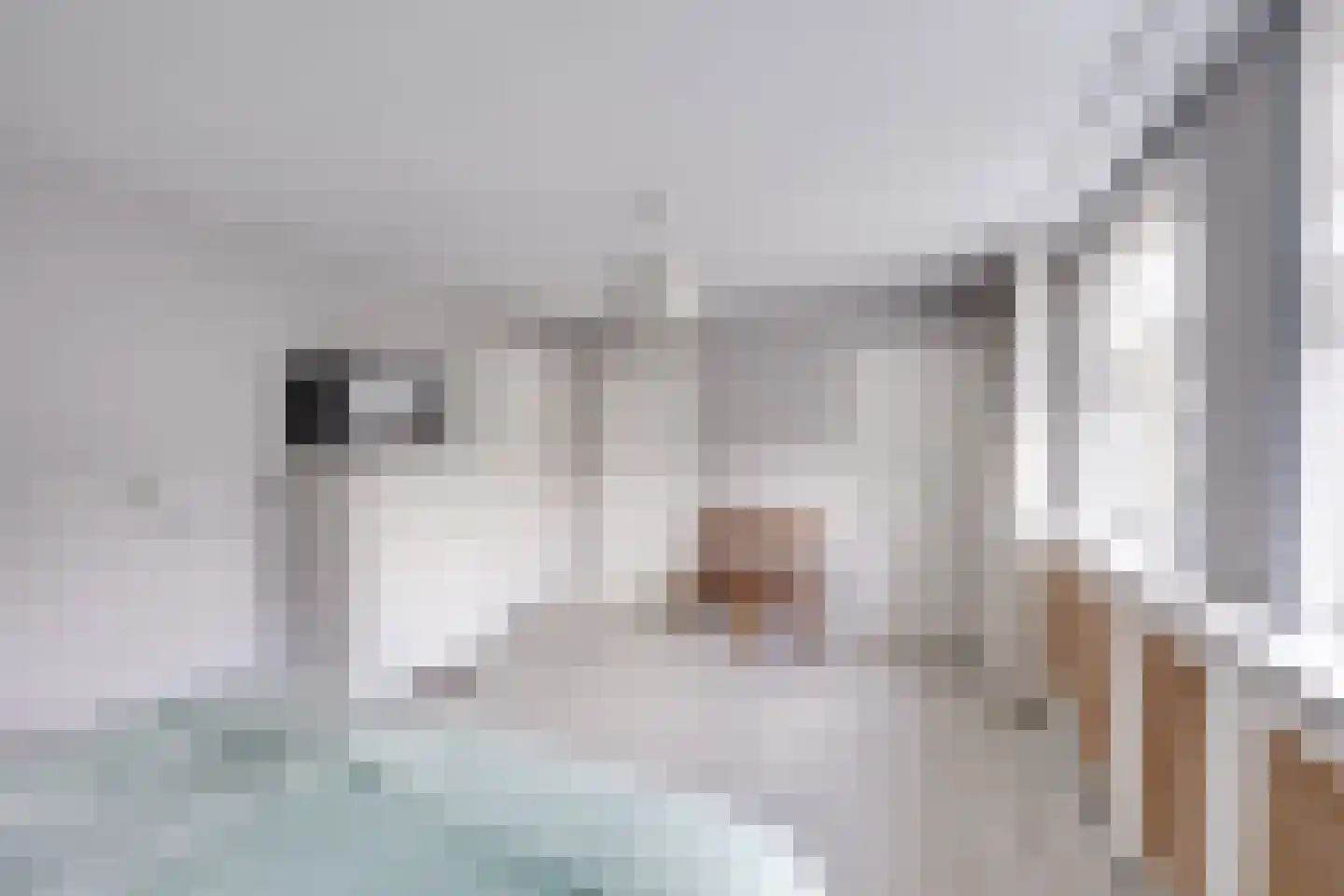 Achter 't Hof 36 Hoeven thumbnail 23