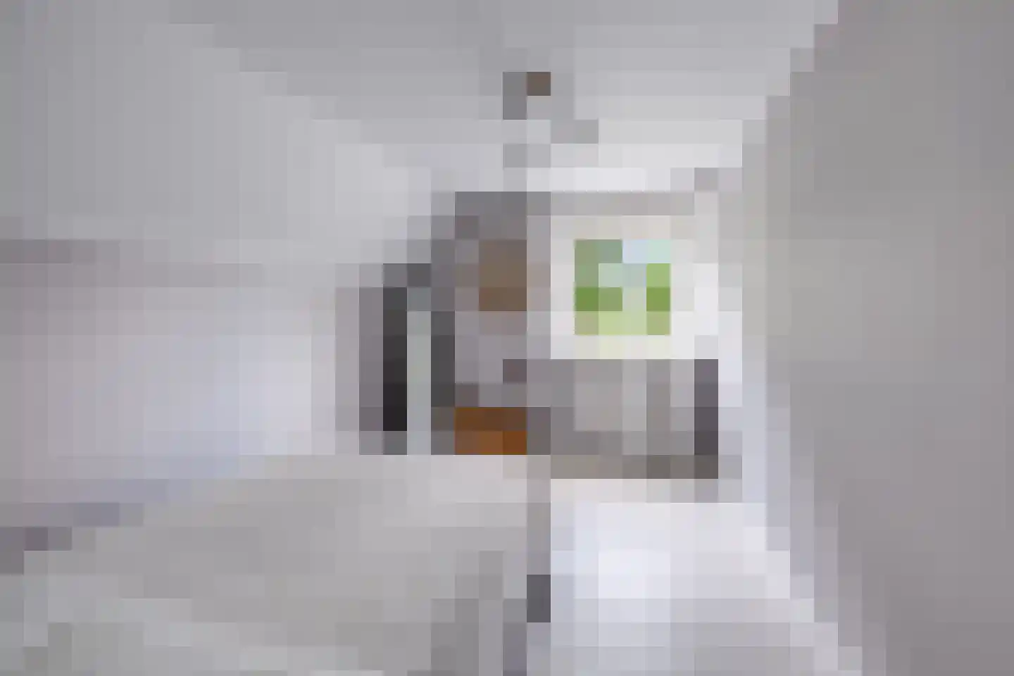 Achter 't Hof 36 Hoeven thumbnail 24