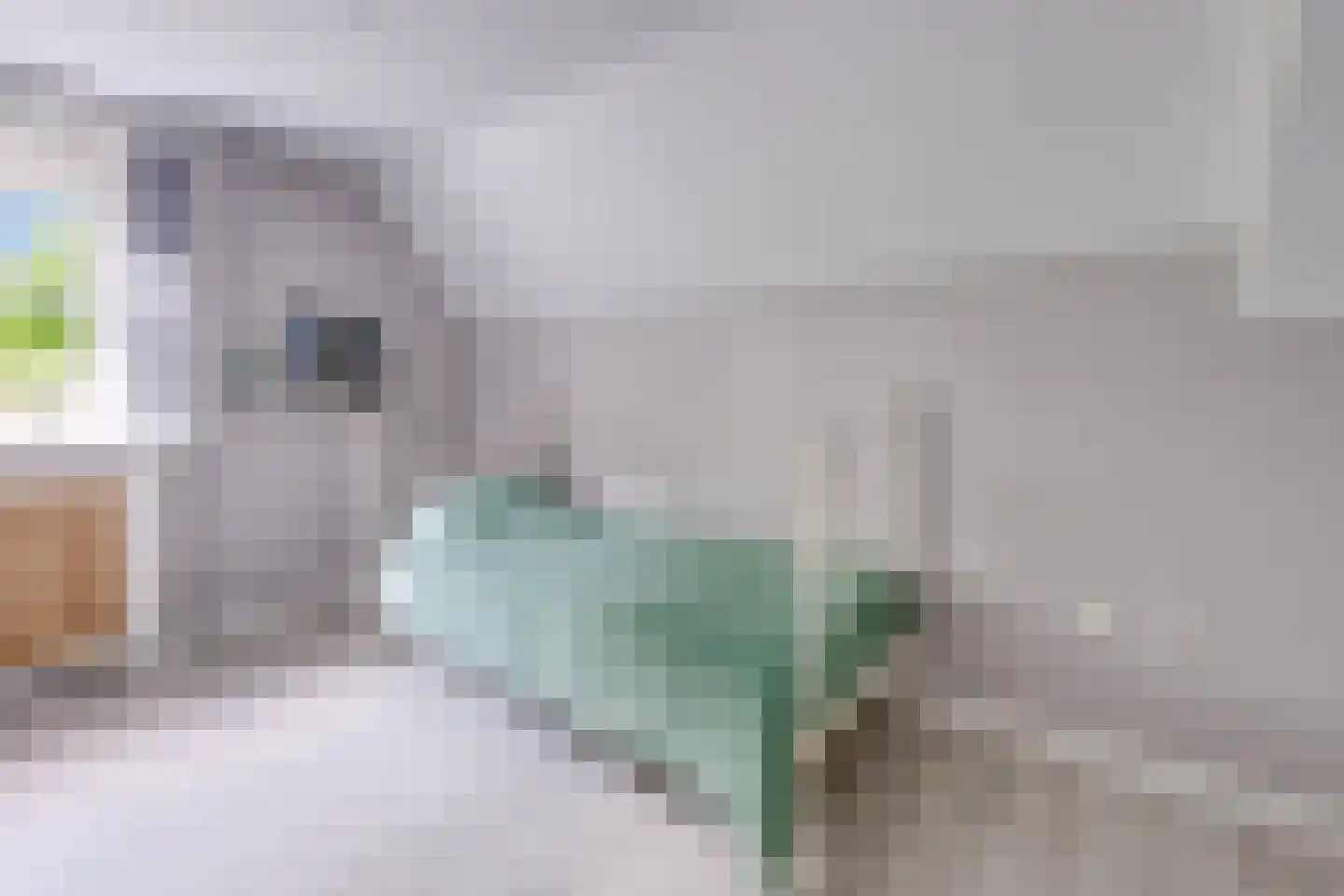Achter 't Hof 36 Hoeven thumbnail 26