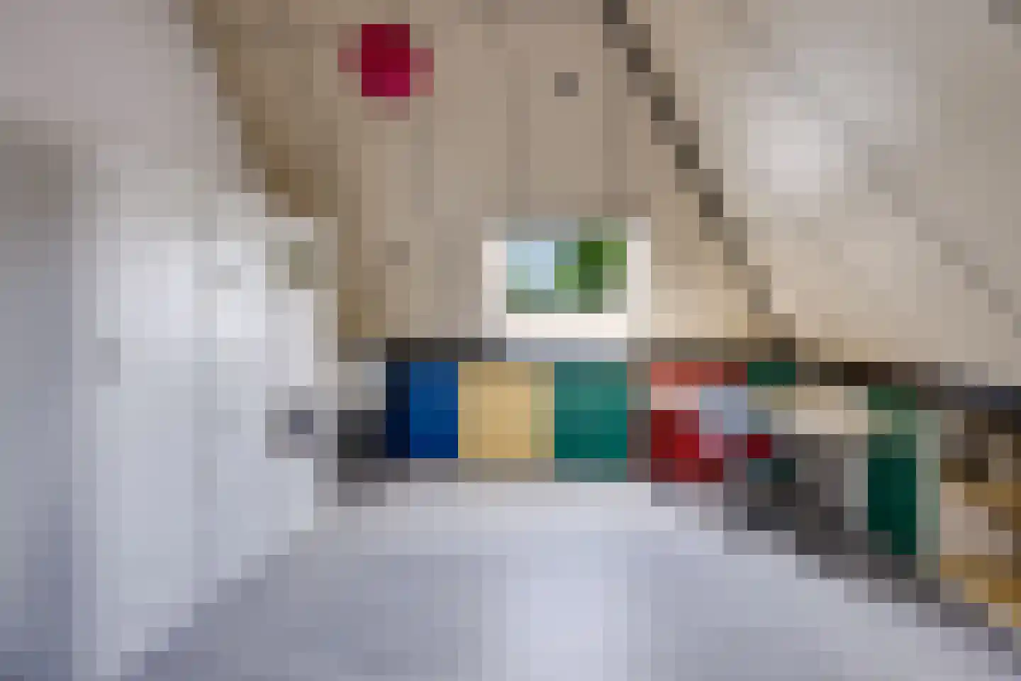 Achter 't Hof 36 Hoeven thumbnail 29