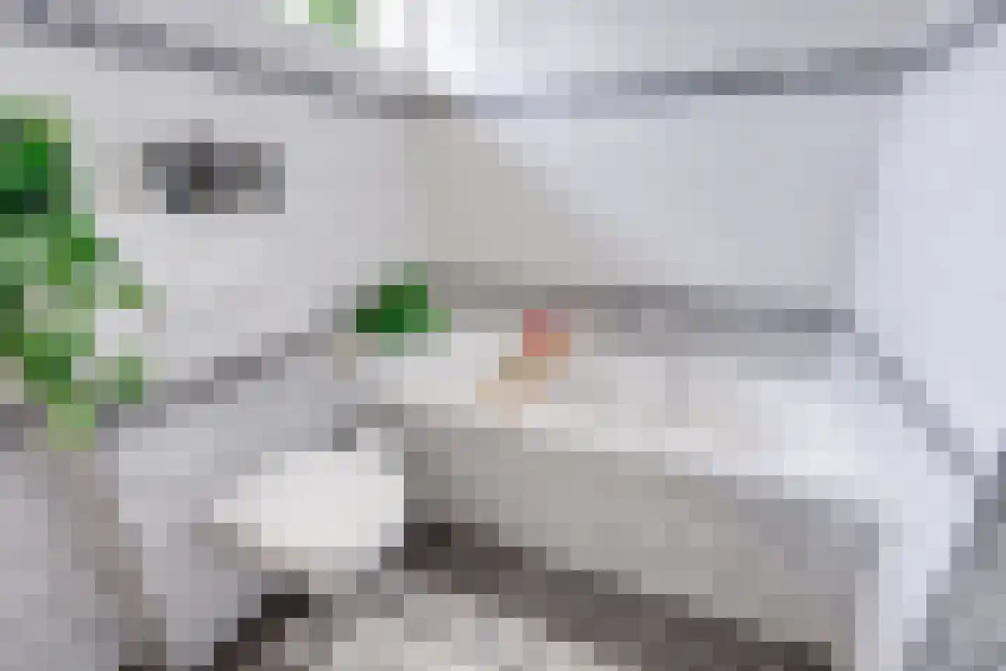 Achter 't Hof 36 Hoeven thumbnail 33