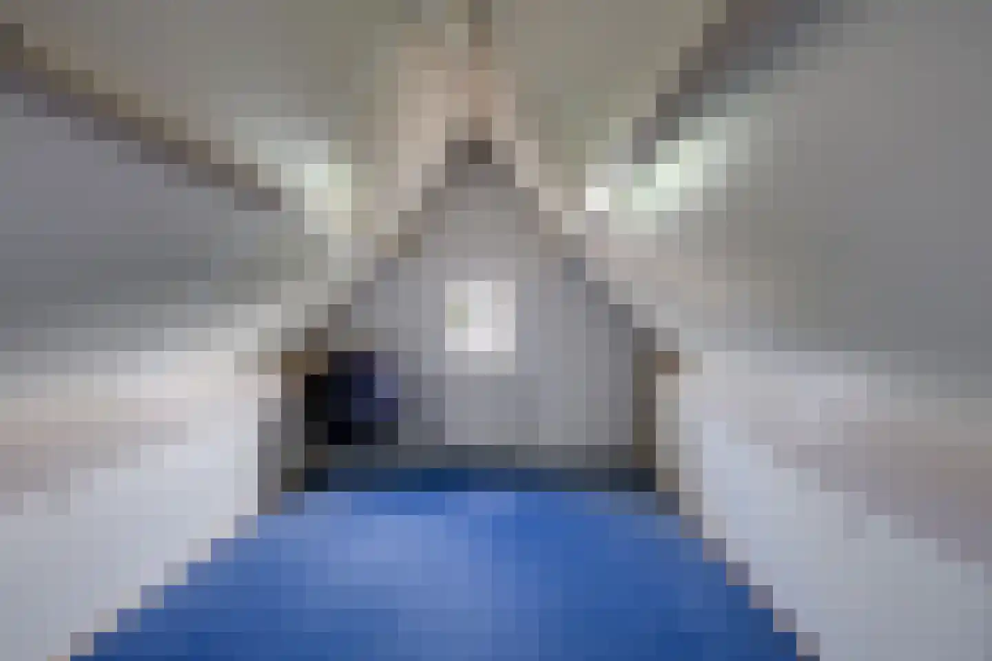 Achter 't Hof 36 Hoeven thumbnail 34